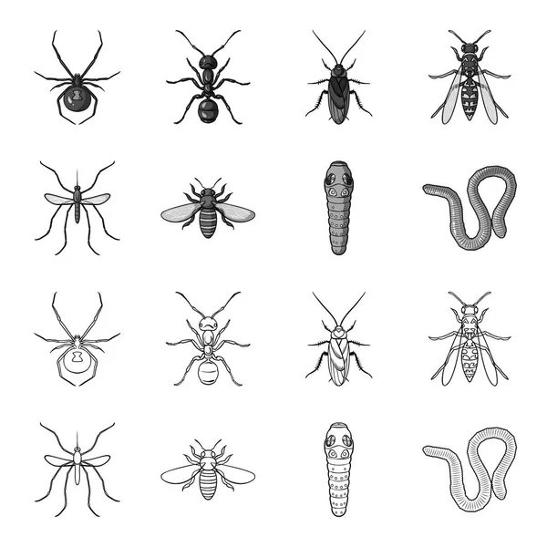 Ver, mille-pattes, guêpe, abeille, frelon. Les insectes placent les icônes de la collection dans les contours, symbole vectoriel de style monochrome illustration web . — Image vectorielle