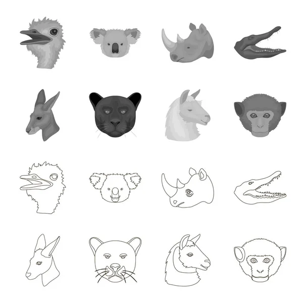 Kängurur, lamadjur, apa, panther, realistiska djur som samling ikoner i disposition, svartvit stil vektor symbol stock illustration web. — Stock vektor