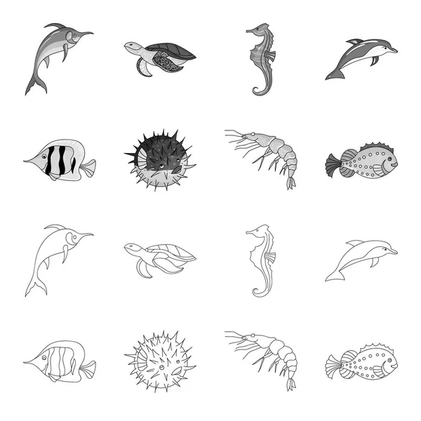 Креветки, рыба, ежа и другие сорта. Морские животные устанавливают иконки коллекции в контуре, монохромный стиль векторного символа фондового иллюстрации паутину . — стоковый вектор