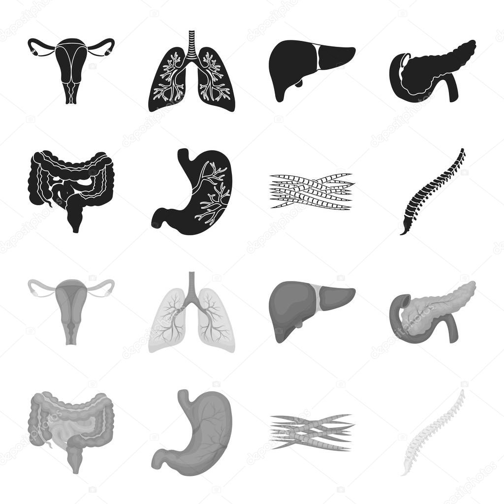 Intestines, stomach, muscles, spine. Organs set collection icons in black,monochrome style vector symbol stock illustration web.
