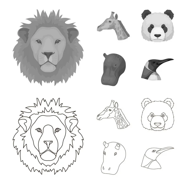 Panda, jirafa, hipopótamo, pingüino, animales realistas conjunto de iconos de colección en el contorno, el estilo monocromo vector símbolo stock illustration web . — Archivo Imágenes Vectoriales