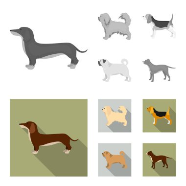 Pikinise, dachshund, pug, peggy. Köpek ırkları toplama simgeler tek renkli, düz stil vektör simge stok çizim web ayarla..