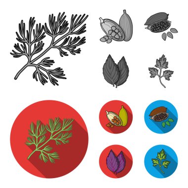 Dereotu, kakao çekirdekleri, fesleğen. Otlar ve baharatlar tek renkli, düz stil vektör simge stok çizim web simgeler ayarla.