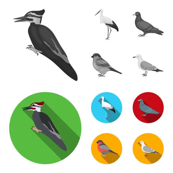 Pic, cigogne et autres. Oiseaux ensemble icônes de la collection en monochrome, style plat vectoriel symbole illustration web . — Image vectorielle
