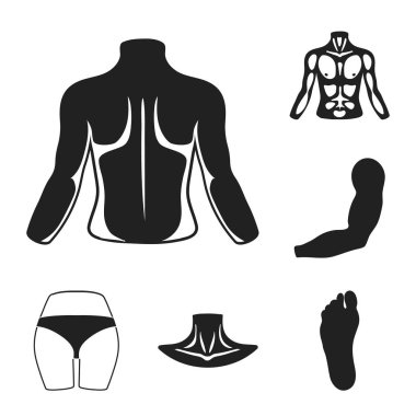 Uzuv / Organ, set koleksiyonu tasarım için bacak siyah simgeler. İnsan anatomisi vektör simge stok web çizimi.