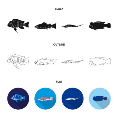 Frontosa, Çiklit, phractocephalus hemioliopterus. Balık koleksiyonu Icons set siyah, düz, anahat stili vektör simge stok çizim web.