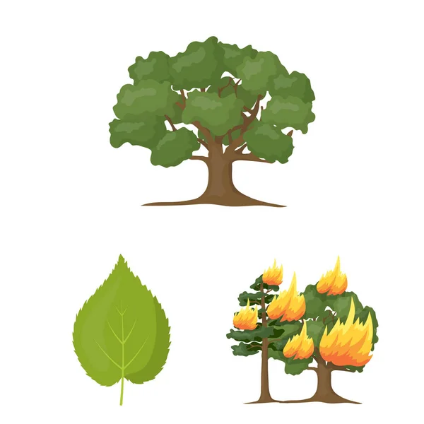 Erdők és a természet rajzfilm ikonok beállítása gyűjtemény design. Erdei élet vektor szimbólum állomány honlap illusztráció. — Stock Vector