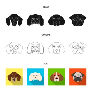 Farklı doğurmak-in köpek ağızlık. Dachshund, fino, beagle, pug cinsi köpek toplama Icons set siyah, düz, anahat stili vektör simge stok çizim web.