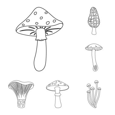 Set koleksiyonu tasarım için zehirli ve yenilebilir mantar anahat simgeleri. Mantar farklı türde sembol stok web illüstrasyon vektör.