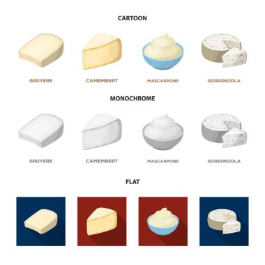 Gruyere, camembert, mascarpone, gorgonzola. Çizgi film, düz içinde peynir set simgeler farklı türlerde, tek renkli stil vektör simge stok çizim web.