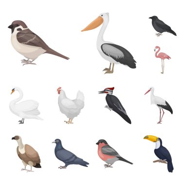 Types of birds cartoon icons in set collection for design. Home and wild bird vector symbol stock web illustration. clipart