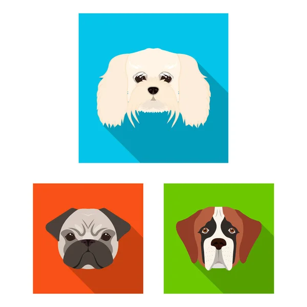 Cão cria ícones planos na coleção de conjuntos para design.Muzzle de um cão símbolo vetorial ilustração web estoque . — Vetor de Stock