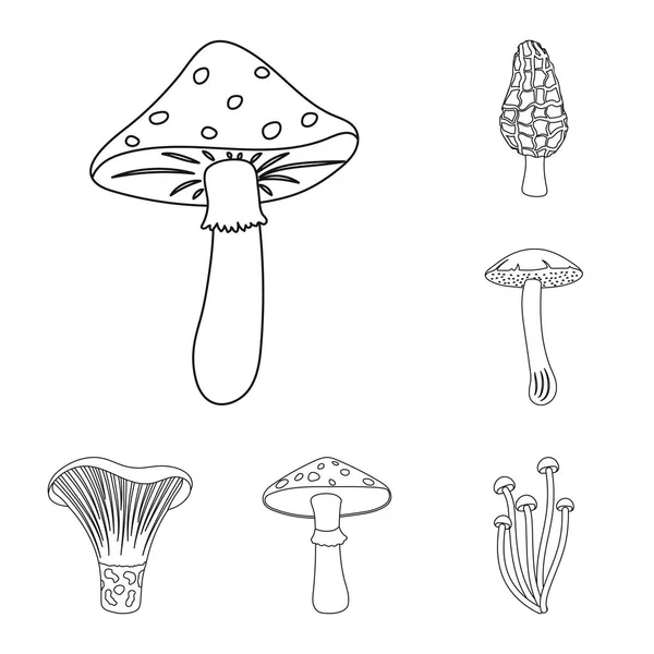Los iconos del esquema de setas venenosas y comestibles en la colección de conjuntos para el diseño. Diferentes tipos de hongos vector símbolo stock web ilustración . — Vector de stock