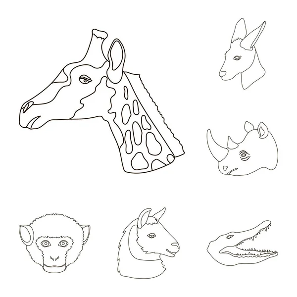 Wild Animal Outline Icons in Set-Kollektion für Design. Säugetier und Vogel Vektor Symbol Stock Web Illustration. — Stockvektor