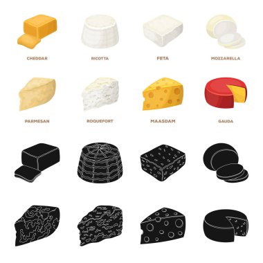 Parmesan, rokfor, maasdam, gauda. Farklı peynir toplama simgeler siyah, karikatür tarzı vektör simge stok çizim web içinde ayarla..