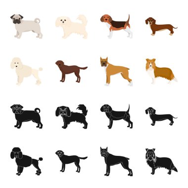 Siyah, set koleksiyonu tasarım için karikatür simgeleri köpek doğurmak. Köpek evde beslenen hayvan vektör simge stok web çizim.