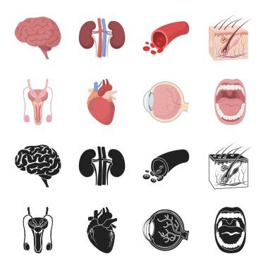 Erkek sistemi, kalp, göz, ağız boşluğu. Organ toplama simgeler siyah, karikatür tarzı vektör simge stok çizim web içinde ayarla..