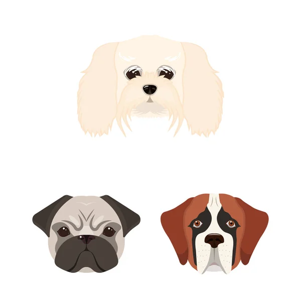 Perro razas iconos de dibujos animados en la colección de conjuntos para design.Muzzle de un perro vector símbolo stock web ilustración . — Vector de stock