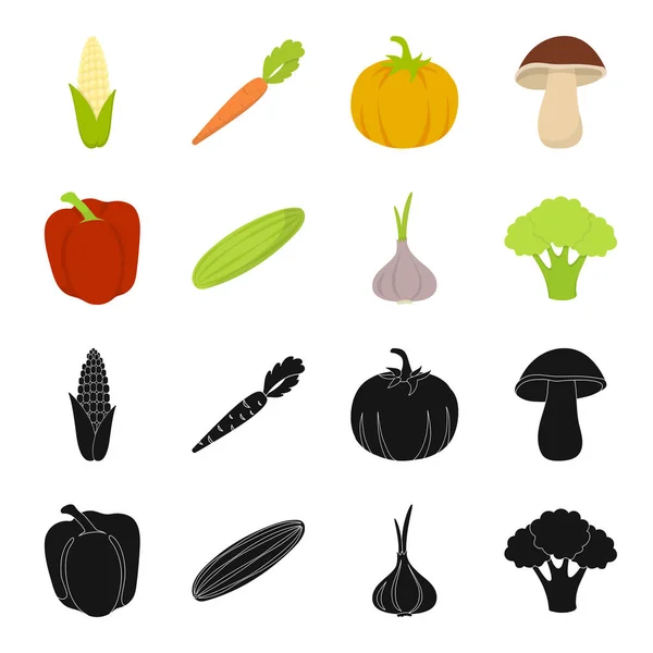 Pimienta roja dulce, pepino verde, ajo, repollo. Vegetales conjunto colección iconos en negro, caricatura estilo vector símbolo stock ilustración web . — Vector de stock