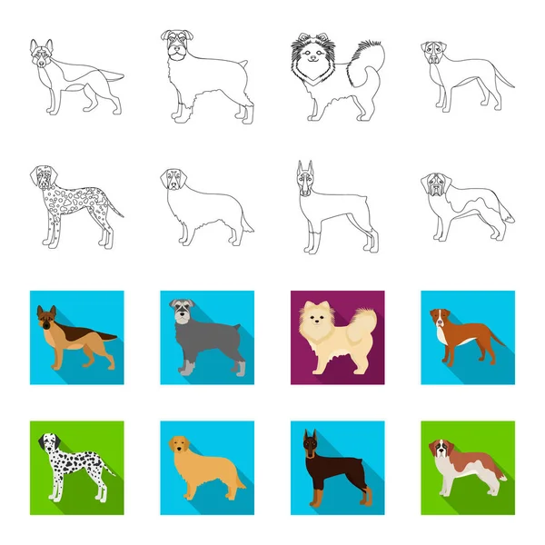 Φυλές σκύλων περίγραμμα, επίπεδη εικονίδια στη συλλογή σετ για σχεδιασμό. Σκύλος συντροφιάς διάνυσμα σύμβολο μετοχών web εικονογράφηση. — Διανυσματικό Αρχείο