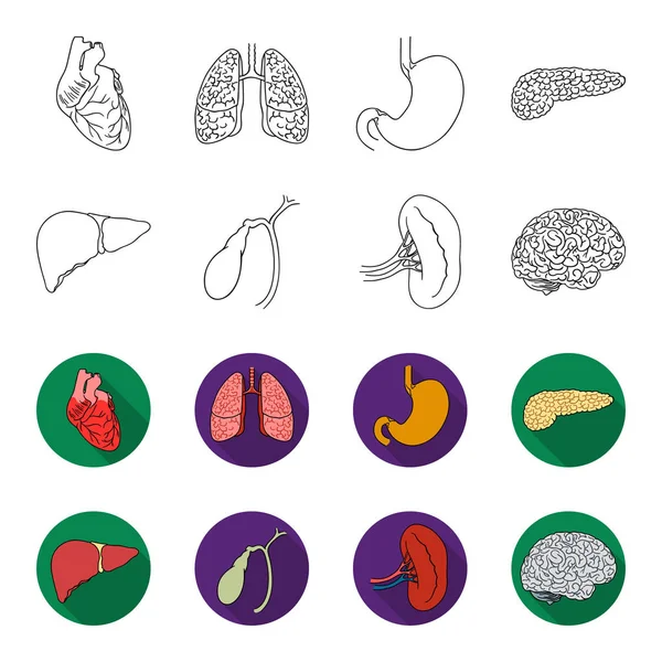 간, 담 낭, 신장, 뇌입니다. 인간의 장기 윤곽, 평면 스타일 벡터 기호 재고 일러스트 웹 컬렉션 아이콘을 설정. — 스톡 벡터