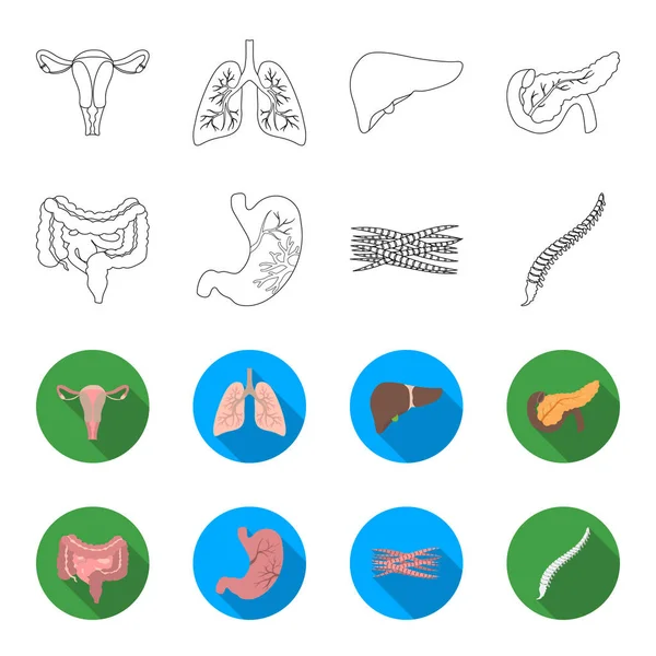 Intestinos, estômago, músculos, coluna vertebral. Organs definir ícones de coleção em esboço, estilo plano símbolo vetorial web ilustração estoque . — Vetor de Stock