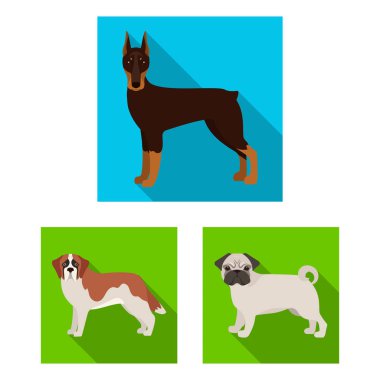 Köpek ırkları set koleksiyonu tasarım için simgeleri düz. Köpek evde beslenen hayvan vektör simge stok web çizim.
