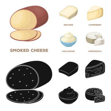 Gruyere, camembert, mascarpone, gorgonzola. Farklı peynir toplama simgeler çizgi film, siyah stil vektör simge stok çizim web ayarla..