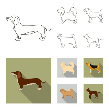 Pikinise, dachshund, pug, peggy. Köpek ırkları toplama simgeler anahat, düz stil vektör simge stok çizim web ayarla..