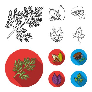 Dereotu, kakao çekirdekleri, fesleğen. Otlar ve baharatlar anahat, düz stil vektör simge stok çizim web simgeler ayarla.