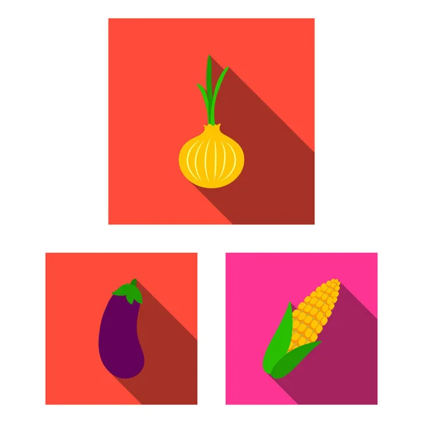 Diferentes tipos de vegetais ícones planos na coleção de conjuntos para design. Vegetais e vitaminas símbolo vetorial web ilustração . — Vetor de Stock