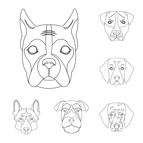 Hundraser disposition ikoner i set samling för design. Mynningen på en hund vektor symbol lager web illustration. — Stock vektor