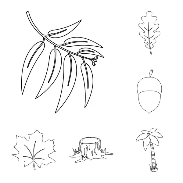 Forest and nature outline icons in set collection for design. Forest life vector symbol stock web illustration. — Stock Vector