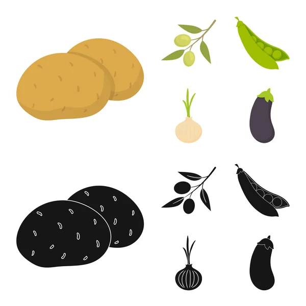 Оливки на ветке, горох, лук, баклажаны. Овощи установить иконки коллекции в мультфильме, черный стиль векторных символов фондовый иллюстрации веб . — стоковый вектор