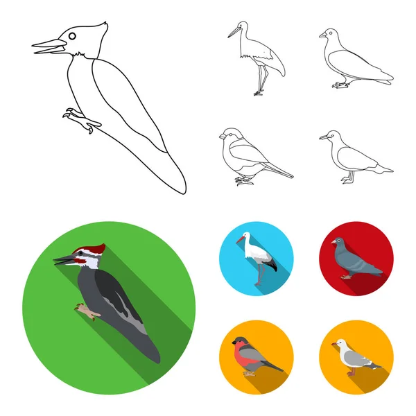 Pic, cigogne et autres. Oiseaux ensemble icônes de la collection dans les grandes lignes, style plat vectoriel symbole illustration web . — Image vectorielle