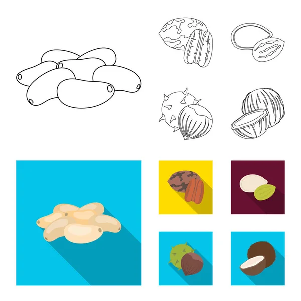 Pecan, piñón, semillas de calabaza, castaño.Diferentes tipos de nueces establecen iconos de colección en el contorno, el estilo plano vector símbolo stock ilustración web . — Vector de stock