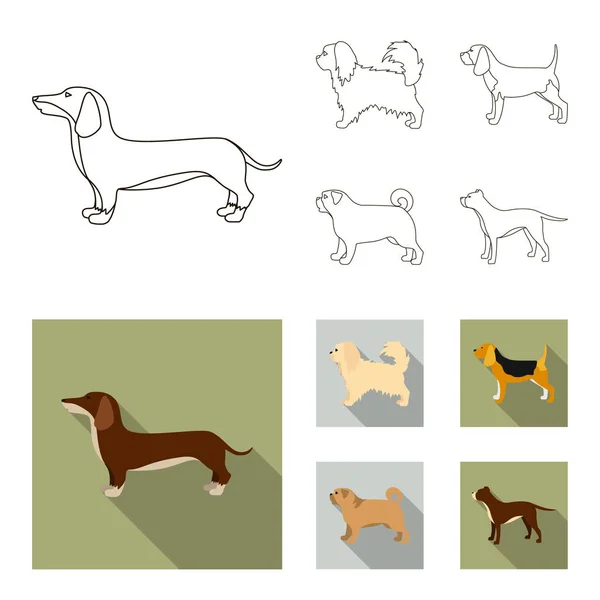 Pikinise、ダックスフント、パグ、ペギー。犬の品種は、アウトライン、フラット スタイル ベクトル シンボル ストック イラスト web でコレクション アイコンを設定します。. — ストックベクタ