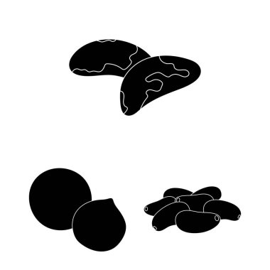 Fındık çeşitleri set koleksiyonu tasarım için simgeler siyah. Fındık gıda vektör simge stok web çizim.