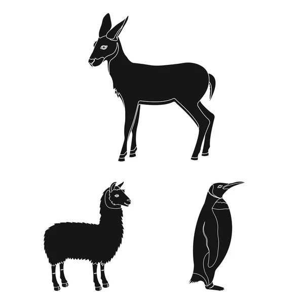 Différents animaux icônes noires dans la collection ensemble pour le design. Illustration de la toile du symbole vectoriel oiseau, prédateur et herbivore . — Image vectorielle
