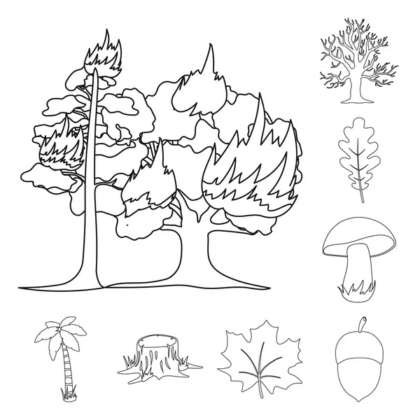 Δάσος και φύση περίγραμμα εικονίδια στη συλλογή σετ για σχεδιασμό. Δάσος ζωή διάνυσμα σύμβολο μετοχής web εικονογράφηση. — Διανυσματικό Αρχείο