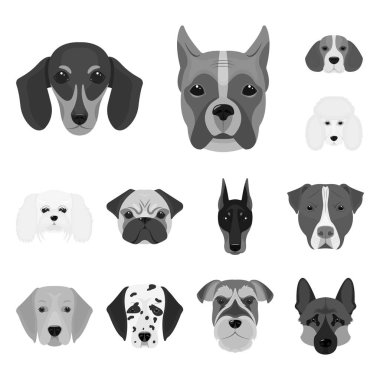Köpek ırkları set koleksiyonu tasarım için tek renkli simgeler. Bir köpek vektör simge stok web illüstrasyon namlu.