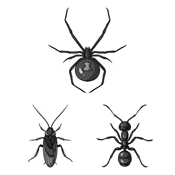 Различные виды насекомых монохромные иконы в наборе коллекции для дизайна. Рисунок вектора членистоногих насекомых . — стоковый вектор