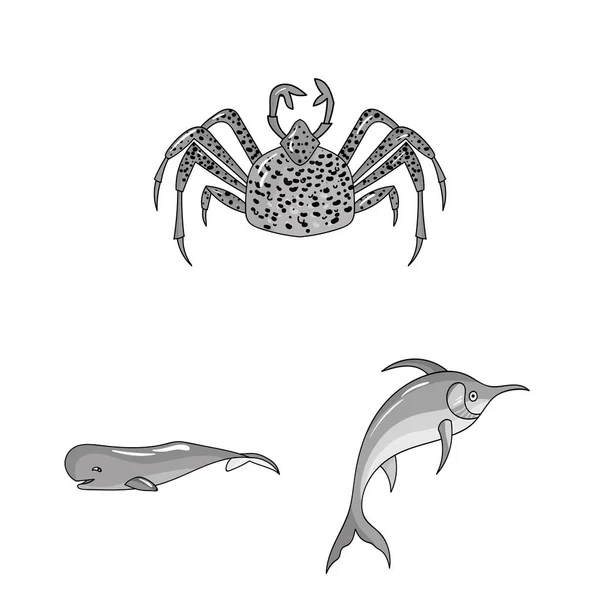 各种海洋动物的单色图标集为设计集合。鱼和贝类矢量符号股票网页插图. — 图库矢量图片