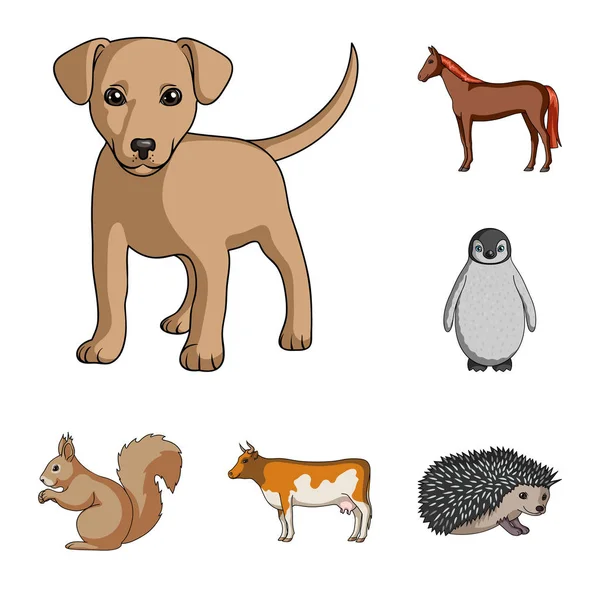 Ρεαλιστική ζώα κινουμένων σχεδίων εικονίδια στη συλλογή σετ για σχεδιασμό. Άγρια και κατοικίδια ζώα διανυσματικά εικονογράφηση σύμβολο μετοχής web. — Διανυσματικό Αρχείο
