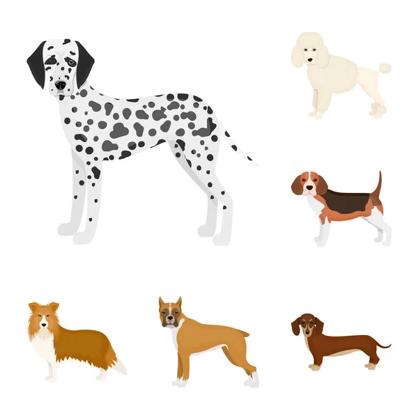 Psí plemena karikatura ikony v nastavení kolekce pro design. Pes domácí vektor symbol akcií web ilustrace. — Stockový vektor