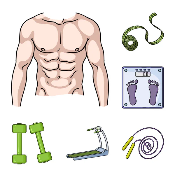 Fitness och attribut tecknad ikoner i set samling för design. Fitness utrustning vektor symbol lager web illustration. — Stock vektor