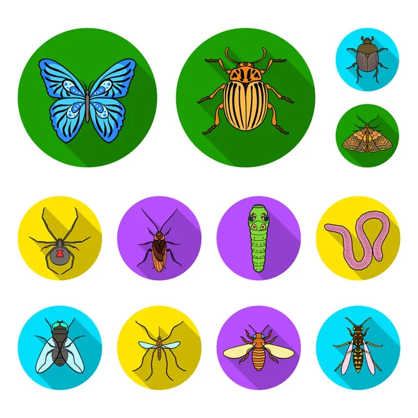 Different kinds of insects flat icons in set collection for design. Insect arthropod vector symbol stock web illustration. — Stock Vector