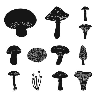 Zehirli ve yenilebilir mantar siyah simgeler set koleksiyonu tasarım için. Mantar farklı türde sembol stok illüstrasyon vektör.