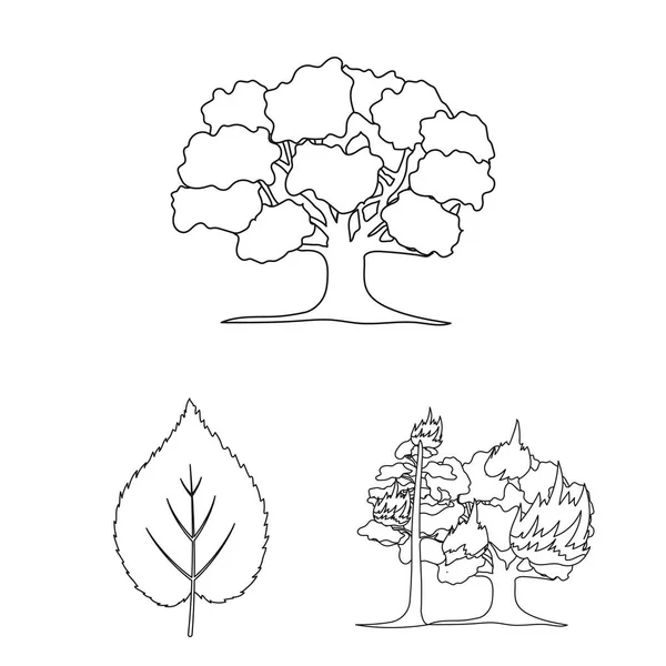 Forêt et nature dessinent des icônes dans la collection de jeux pour le design. Forêt vie vecteur symbole stock web illustration . — Image vectorielle