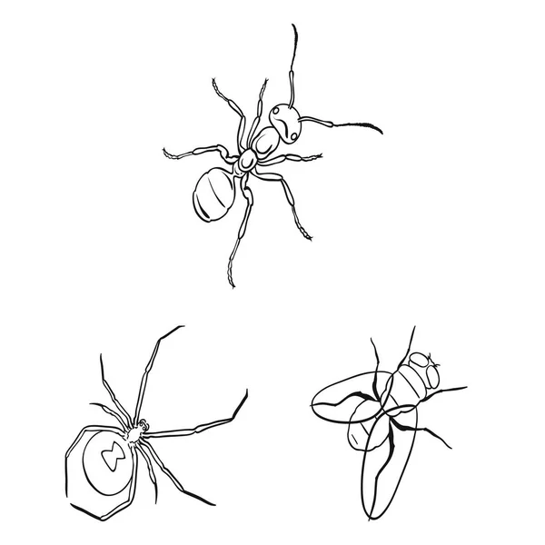 Olika sorters insekter disposition ikoner i set samling för design. Insekt leddjur isometrisk symbol lager web vektorillustration. — Stock vektor